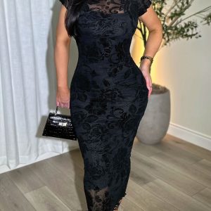Women's Sheer Mesh Sexy Bodycon Dress
