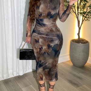 Elegant Long Sleeved Mesh Dress